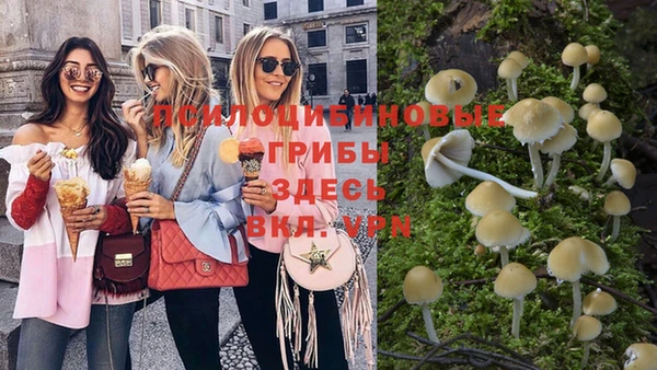 прущие крисы Козельск